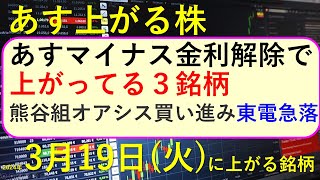 あす上がる株 2024年３月１９日（火）に上がる銘柄 ～最新の日本株での株式投資。初心者でも。日銀のマイナス金利解除直前で上げてる銘柄。東京電力が急落。熊谷組をオアシスが買い進み～ [upl. by Nnylodnewg625]