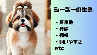 犬の種類 シーズーの生態 [upl. by Hilaire]