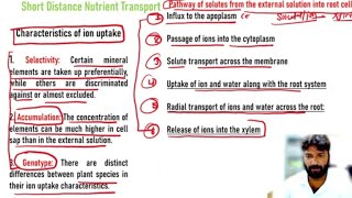 Mineral nutrient transport in Plants  Short Distance Pathway [upl. by Elyad]