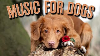 4 HOURS of Calming Music for Dogs Anti Separation Anxiety Relief [upl. by Dnalrah584]