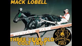 1987 Breeders Crown 3YO CampG Trot Final Pompano Park  Mack Lobell 1541 [upl. by Miculek713]