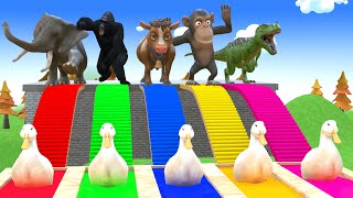 5 Giant Duck Cartoon Elephant Cow Dinosaur Monkey Paint Wild Animal Crossing Fountain Animation [upl. by Konrad834]