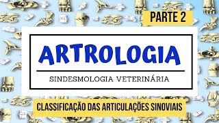 Classificação das articulações sinoviais Articulação Veterinária  PARTE 2 [upl. by Merkle]