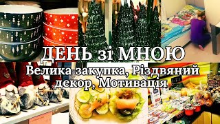 ❄️НОВОРІЧНИЙ ДЕКОР ВЕЛИКА ЗАКУПКА🔥МОТИВАЦІЯ на ПРИБИРАННЯ [upl. by Primavera]