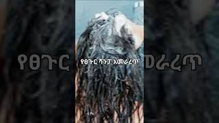 ለፀጉር ተመራጭ የሆኑ ሻምፓወች Best Shampooss For Hair ፀጉር [upl. by Feil]