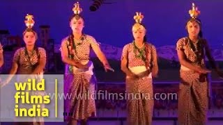 Nepali folk dance from Sikkim in India [upl. by Corbett]