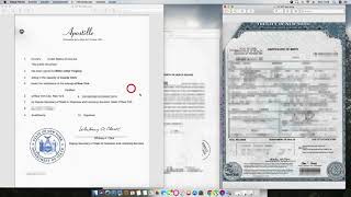 Cómo se Apostilla un Acta de Nacimiento de New York con carta de ejemplificación [upl. by Hogarth795]