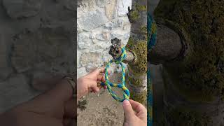 Essential Knot Clove Hitch knottying [upl. by Evey]