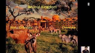 Animal Kingdom  What is Chordates   What is nonchordates   Vertebrates  Invertebrates [upl. by Emyaj]