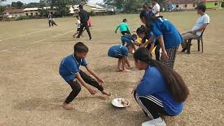 Potato Race  Sub Junior  Boys [upl. by Hedy]