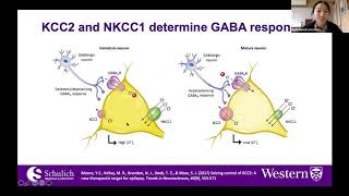 Talk The role of delayed maturation of GABAA receptor function in schizophrenia [upl. by Aneled]