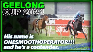 Geelong Cup 2024  Onesmoothoperator Interpretation Birdman [upl. by Ellitnahc515]