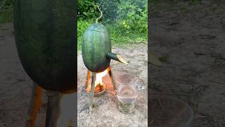 Survival Skills SIMPLE and USEFUL with steam bad water in watermelon bushcraft camping outdoors [upl. by Ez]