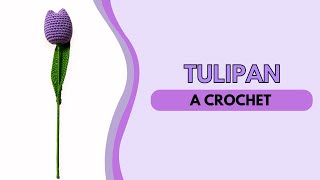 Tutorial de Tulipán a Crochet 🌷 [upl. by Moulden69]