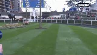 Cyrname bolts up in the Betfair Ascot Chase 2019 [upl. by Kayle]