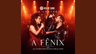 A Fênix In Concert Ao Vivo [upl. by Hamnet958]