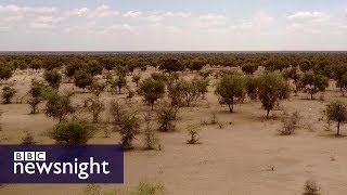 The Great Green Wall of Africa Will it help fight climate change BBC Newsnight [upl. by Ahsenal566]