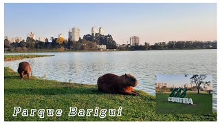 Parque Barigui y Capibaras Curitiba Brasil 🇧🇷 [upl. by Oak]