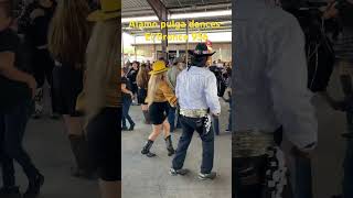 Alamo Pulga Dances amp El Bronco 956 larrysbrusch alamodome dancing [upl. by Nations]