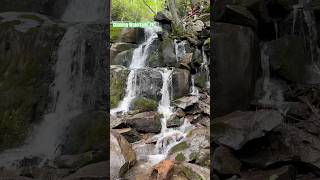 Chasing WaterfallsTN shortvideo shorts shortfeed [upl. by Enedan]