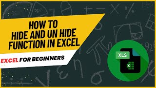 How to Hide and Un Hide Function in Excel  Excel course for beginners [upl. by Yeldud]