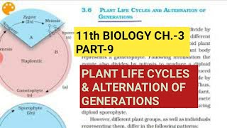 Class 11 BiologyCh3 Part9Plant life cycles amp Alternation of generationsStudy with Farru [upl. by Reviere]