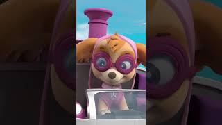 Skye Rescues a Bunny from a Ferris Wheel  Shorts PAWPatrol [upl. by Lina162]