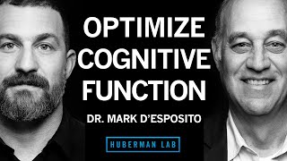 Dr Mark DEsposito How to Optimize Cognitive Function amp Brain Health [upl. by Netsirt]