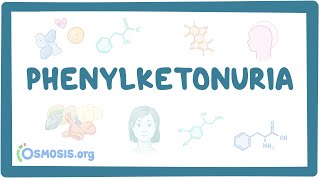 Phenylketonuria  causes symptoms diagnosis treatment pathology [upl. by Ltihcox382]