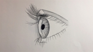 How to draw an eye for beginners side view [upl. by Shorter]