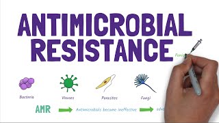 Antimicrobial Resistance AMR Stopping the rise of superbugs [upl. by Raffarty]