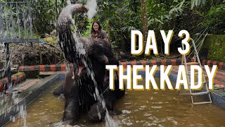 Day 3 in Kerala Monsoon  Thekkady  Elephant Junction [upl. by Orthman396]