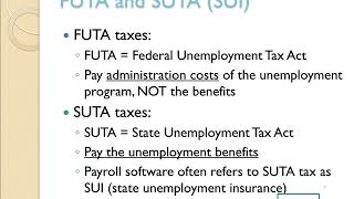 Employer Payroll Taxes [upl. by Illil]