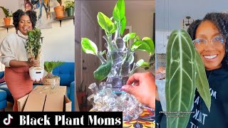 Black Plant Moms  Black Girl TikTok [upl. by Shafer]