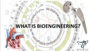 What is Bioengineering  BioEHS [upl. by Alwin226]