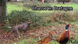 CHASSE DU PETIT GIBIER  Calibre 28 [upl. by Nalyorf]