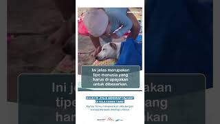 MasyaAllah dekk funny fyp dog doglover anjinglucu [upl. by Yasnil114]