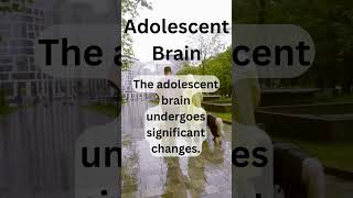 Adolescent Brain adolescent [upl. by Leggett]