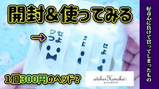 【福袋開封動画】あとりえほのかさんのクセつよスタンプガチャ買ってみたら？購入品紹介 [upl. by Eekram133]