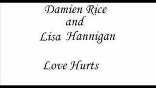 Love Hurts  Damien Rice amp Lisa Hannigan [upl. by Port]