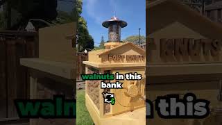 Mark Rober  Backyard Squirrel Maze 20  The Walnut Heist  Link in Description 🦊 [upl. by Ammon879]