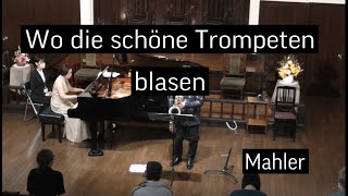 Wo die schönen Trompeten blasen G Mahler  2023513 [upl. by Arte]