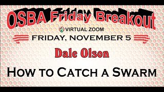 OSBA Friday Breakout  Dale Olson quotHow to Catch a Swarmquot [upl. by Oniotna]