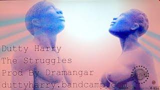 The Struggles  Dutty Harry [upl. by Nibbor793]