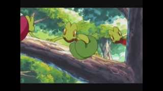 snivy and treecko amv boyfriend [upl. by Idnic974]