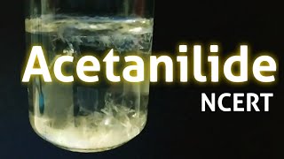 Acetanilide Nphenylacetamide Preparation NCERT guide [upl. by Sulienroc]