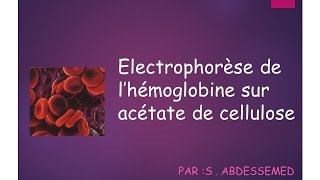 Électrophorèse de lhémoglobine sur acétate de cellulose [upl. by Deryl968]