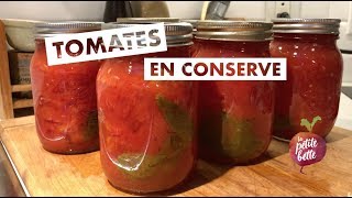 🍅 CONSERVES DE TOMATES MAISON 🍅 Tuto technique conservation [upl. by Thetisa229]