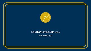 Solvalla Yearling Sale 2024 [upl. by Yemerej]