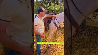 Como montar em cavalo ou muar que não para Segredo da montaria da cavalgada cavalos horse [upl. by Yousuf]